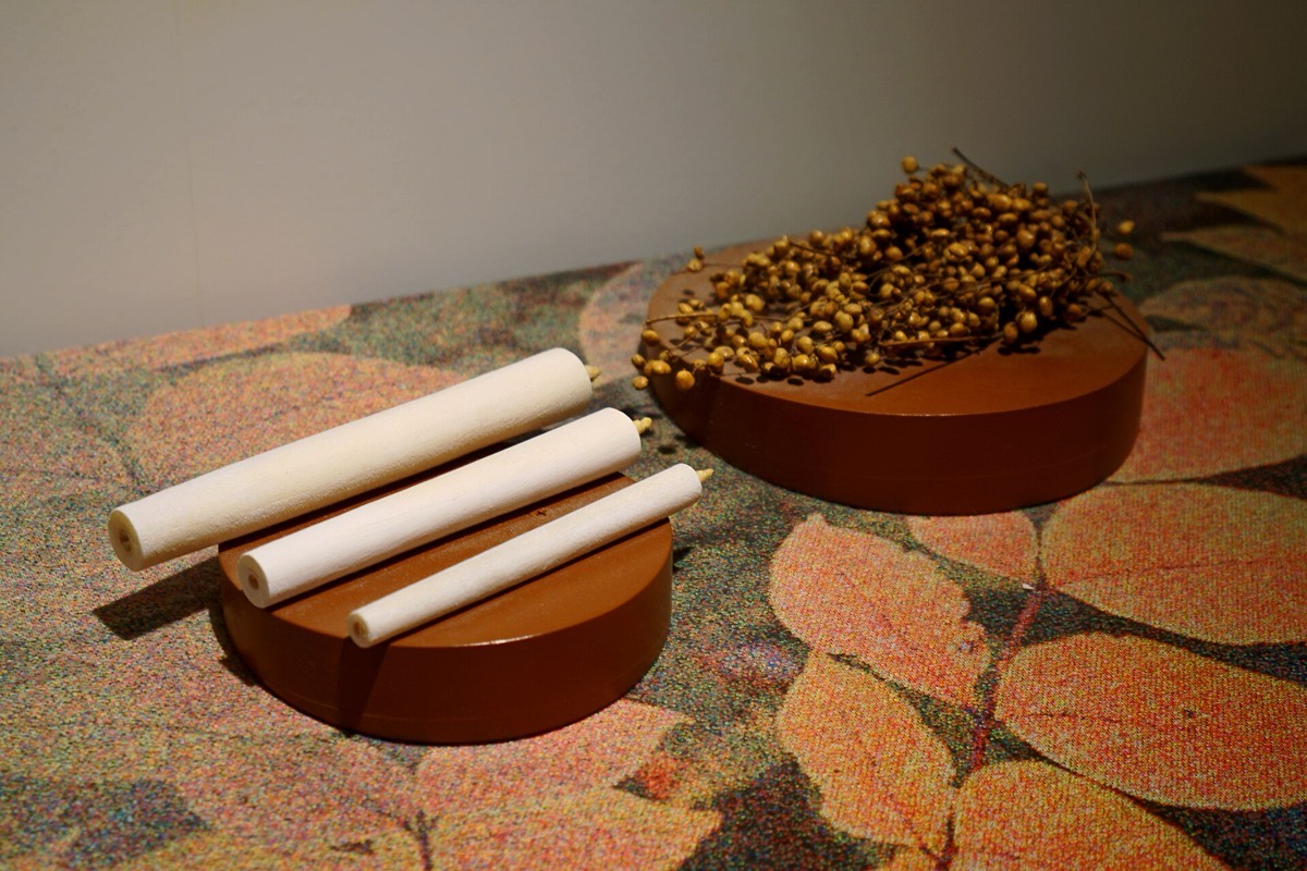 Sebuah pajangan museum: tiga lilin Jepang gulung tangan berwarna krem di atas piringan tanah liat, di sampingnya piringan kedua berisi tumpukan buah urushi kering beserta tangkainya.